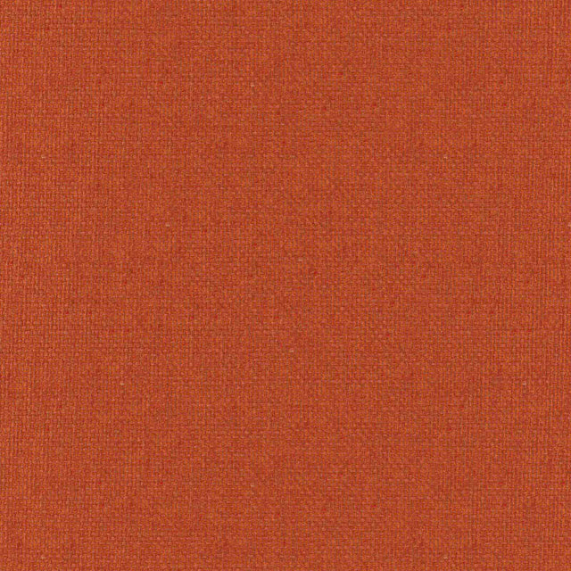 Eade’s # 907 PUMPKIN