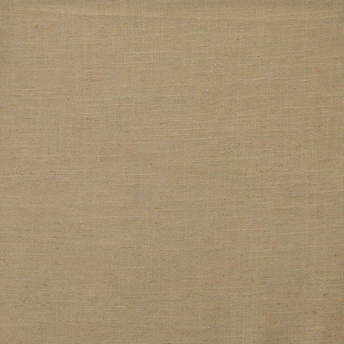 Eade’s # 513 HAZELNUT