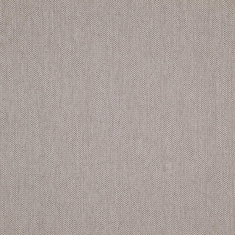 Eade’s # 15 OYSTER