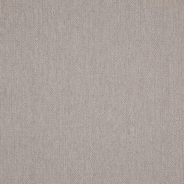 Eade’s # 15 OYSTER