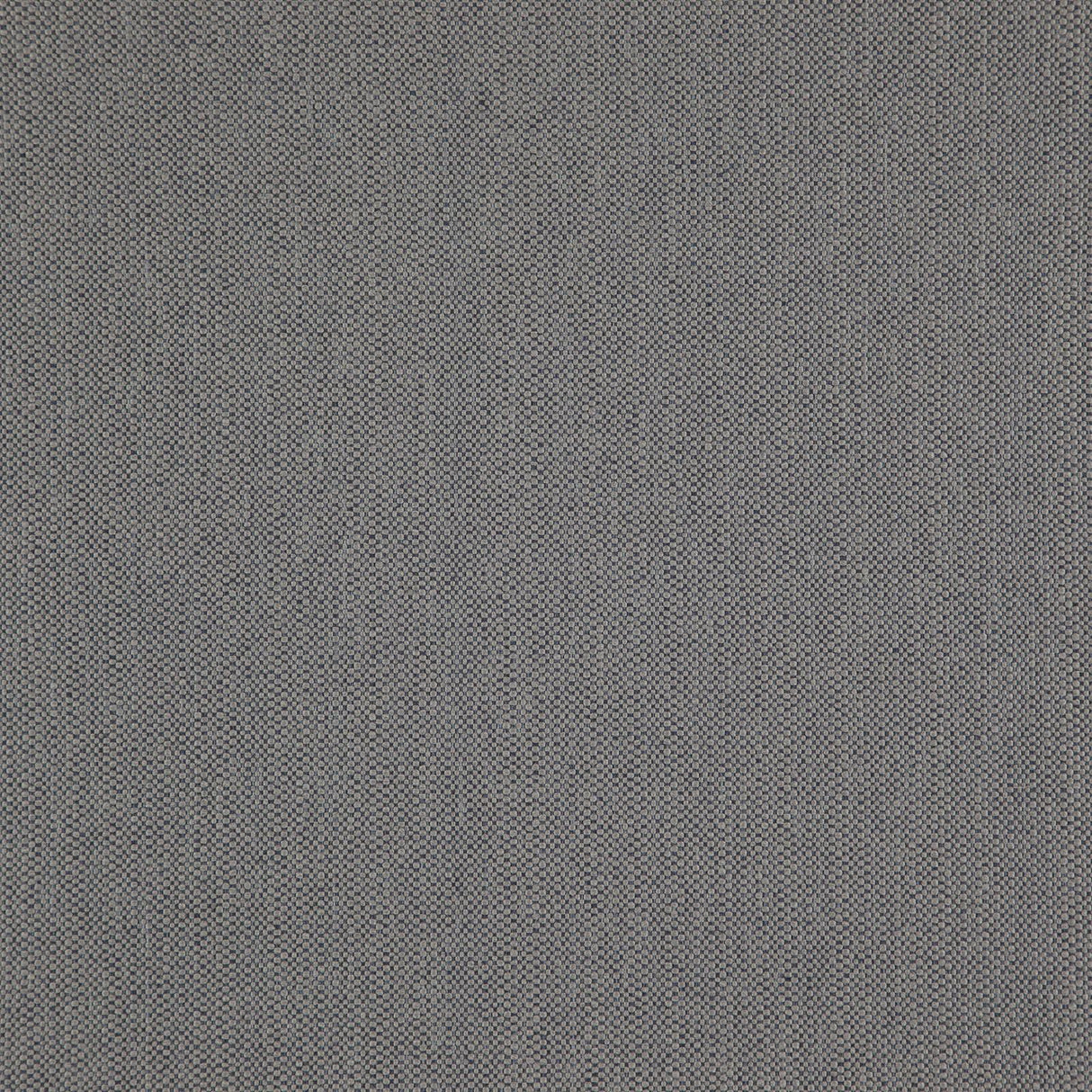 Eade’s # 18 DOLPHIN