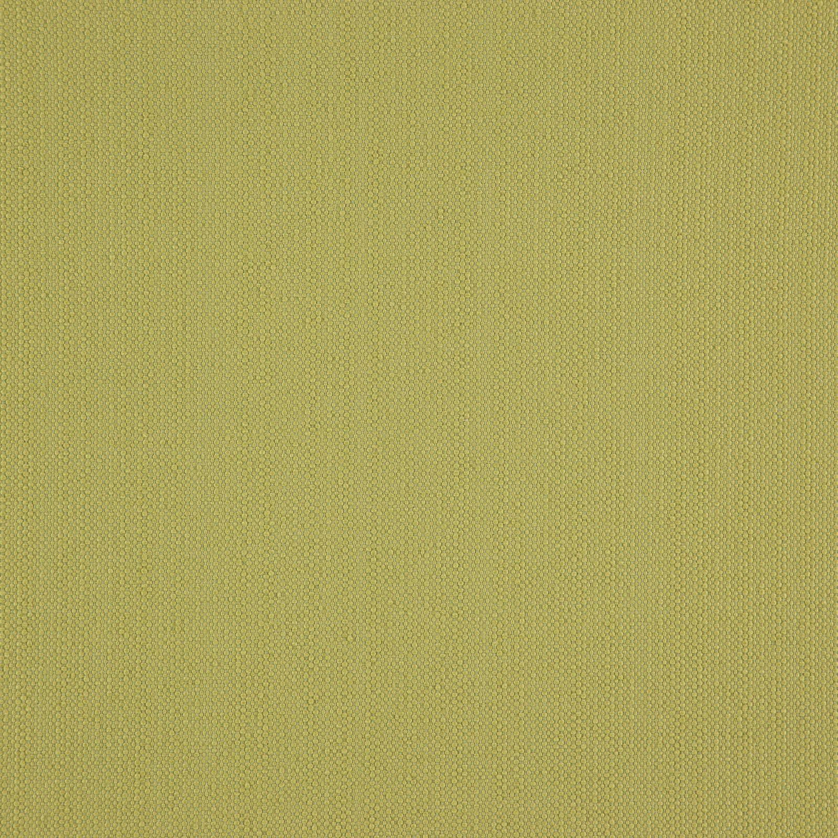 Eade’s # 34 LEMONGRASS