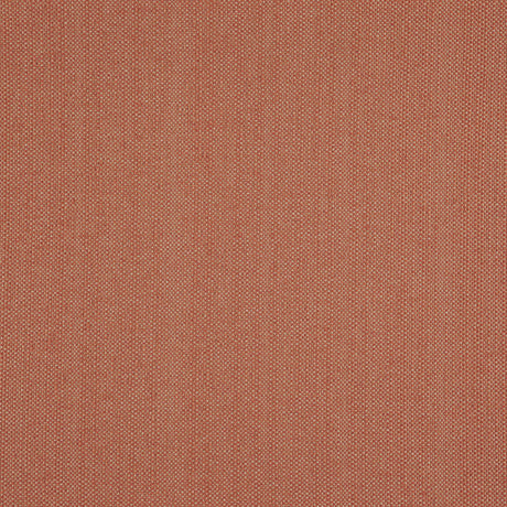 Eade’s # 37 CANYON