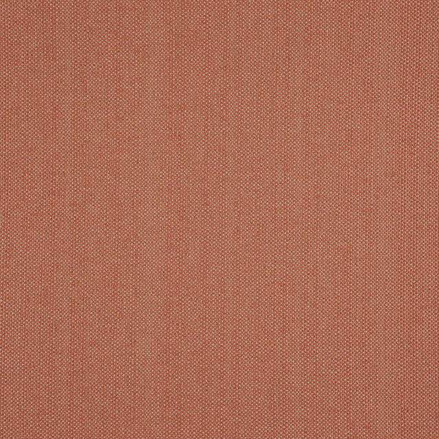 Eade’s # 37 CANYON