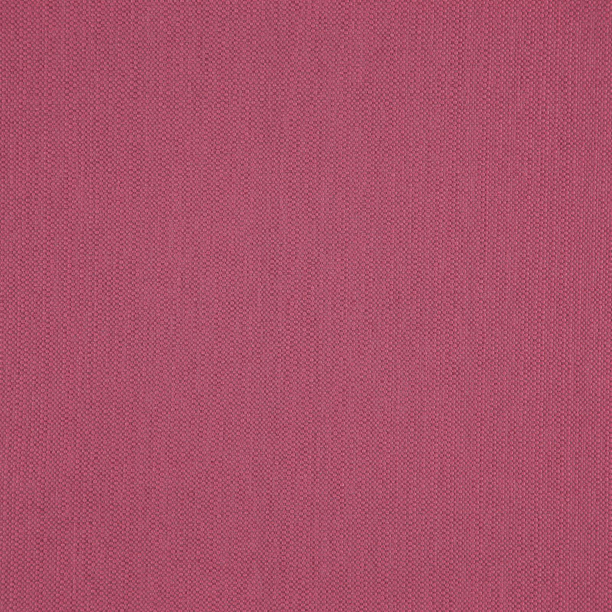 Eade’s # 41 MAGENTA