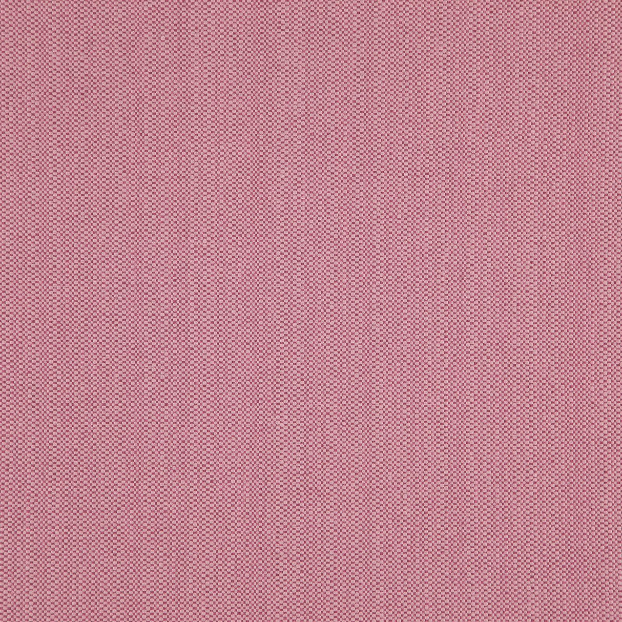 Eade’s # 42 BLOSSOM