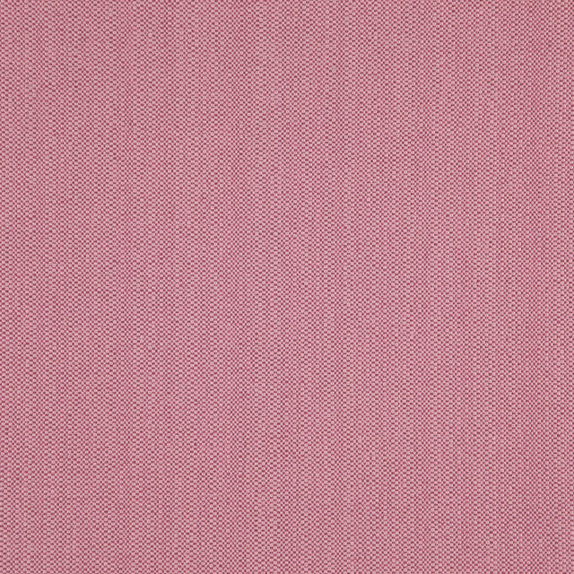 Eade’s # 42 BLOSSOM