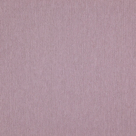 Eade’s # 43 ORCHID