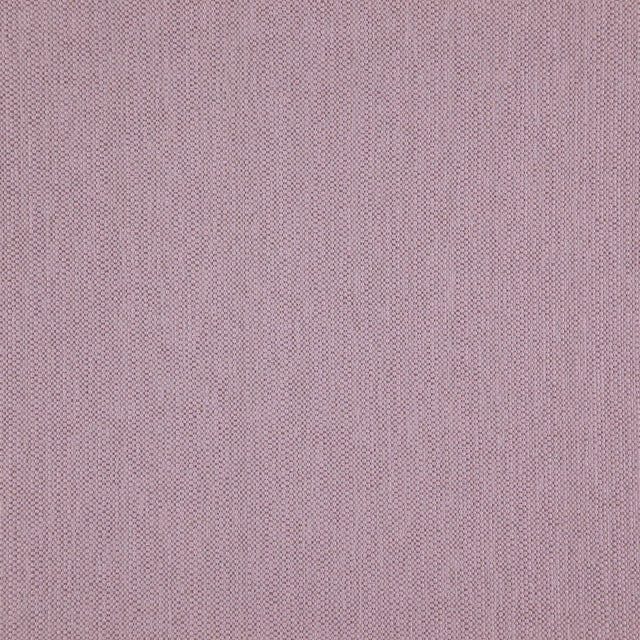 Eade’s # 43 ORCHID