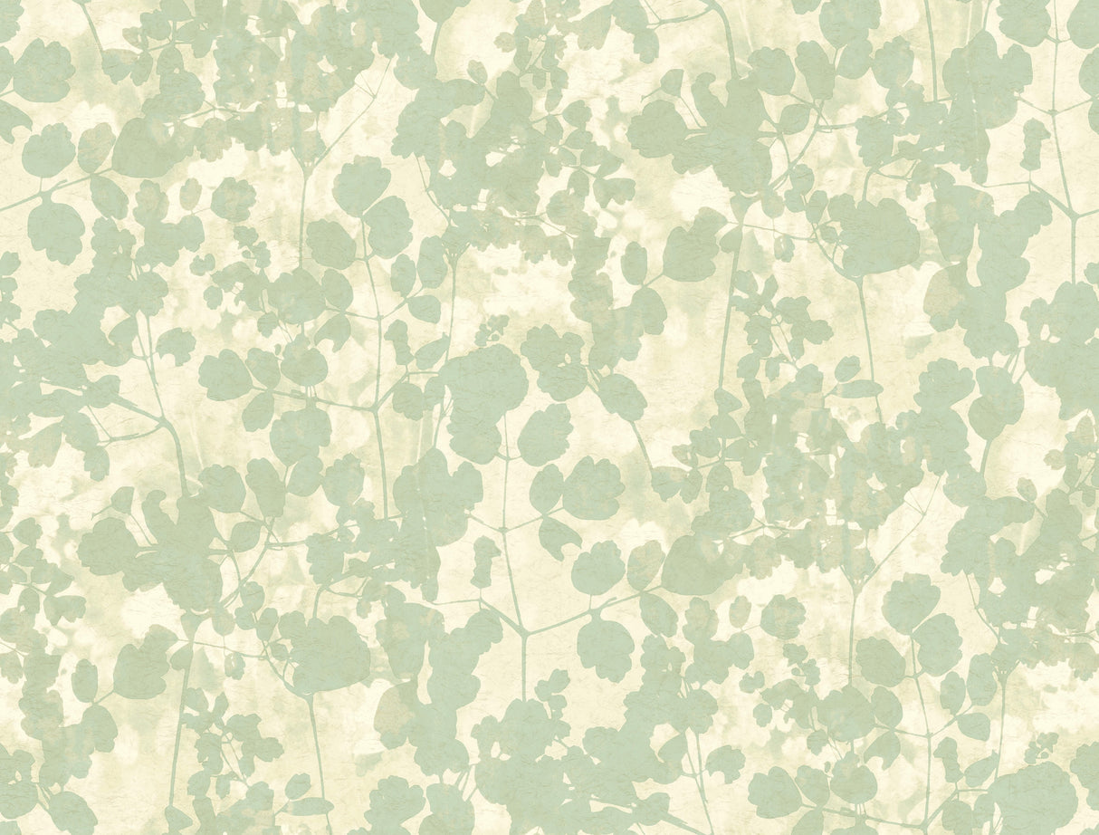 York NA0517 Pressed Leaves Green Wallpaper