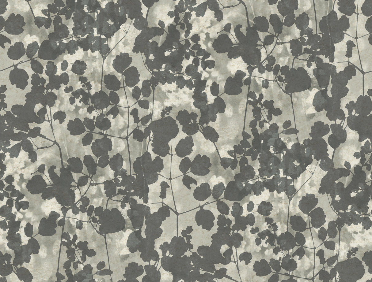 York NA0521 Pressed Leaves Dark Grey Wallpaper