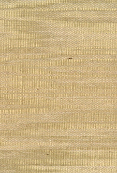 Seabrook Designs NA211 Wallpaper - Eade's Wallpaper & Fabric