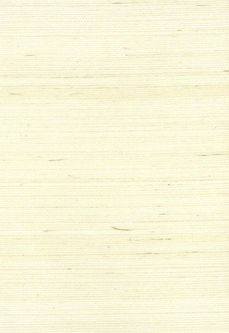 Seabrook Designs NA218 Wallpaper - Eade's Wallpaper & Fabric