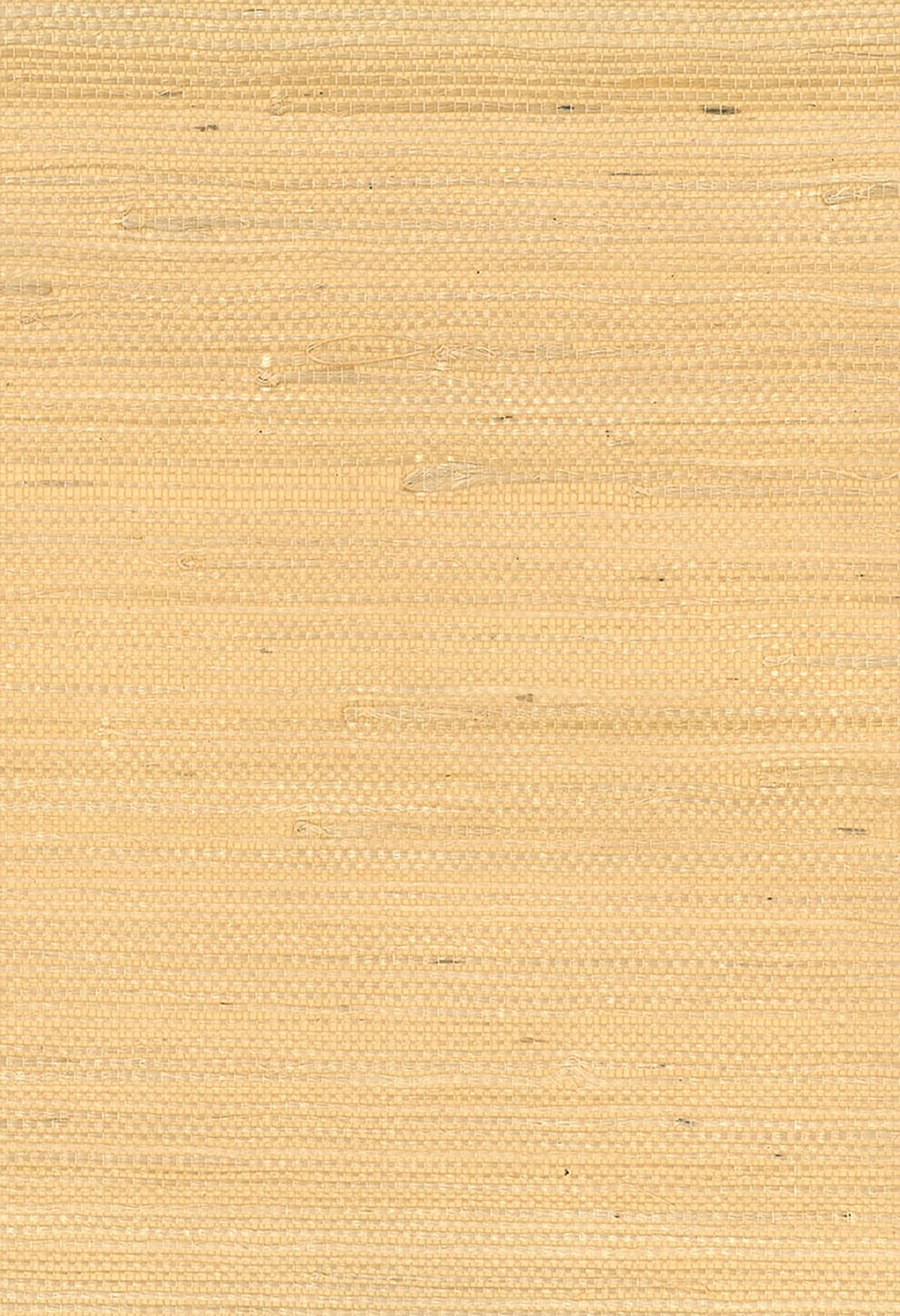 Seabrook Designs NA220 Wallpaper - Eade's Wallpaper & Fabric