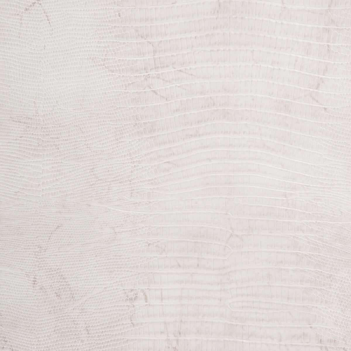 KRAVET DESIGN NAMAQUA.11.0 KRAVET DESIGN NAMAQUA-11 Fabric - Eade's Wallpaper