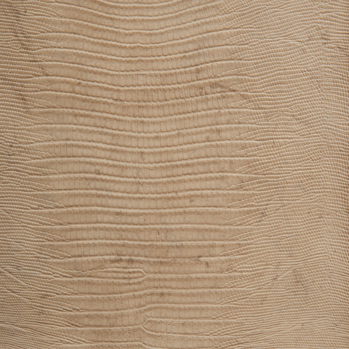 KRAVET DESIGN NAMAQUA.16.0 KRAVET DESIGN NAMAQUA-16 Fabric - Eade's Wallpaper