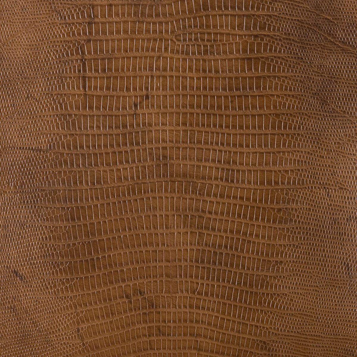 KRAVET DESIGN NAMAQUA.6.0 KRAVET DESIGN NAMAQUA-6 Fabric - Eade's Wallpaper