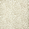 Eade's NAMP-1-sample CARAMEL