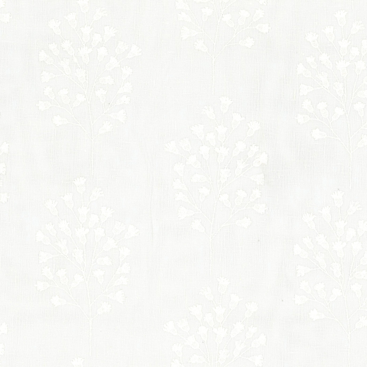 Eade's NAPL-2-sample EGGSHELL