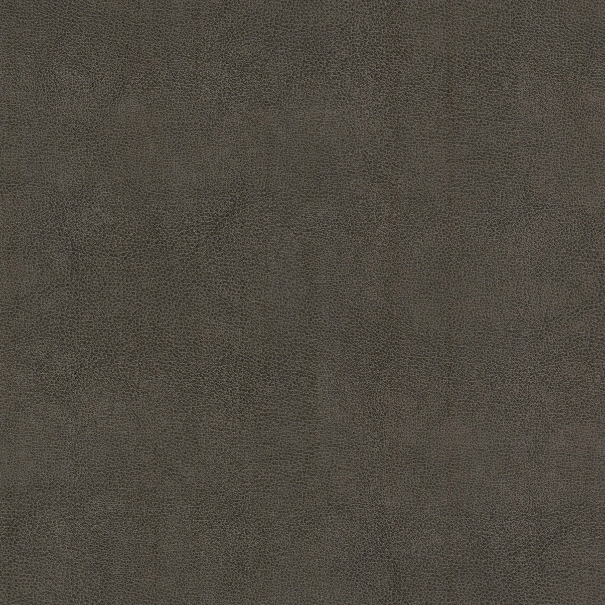 STOUT NARC-1 NARCISSUS 1 SHADOW Fabric - Eades Wallpaper & Fabric