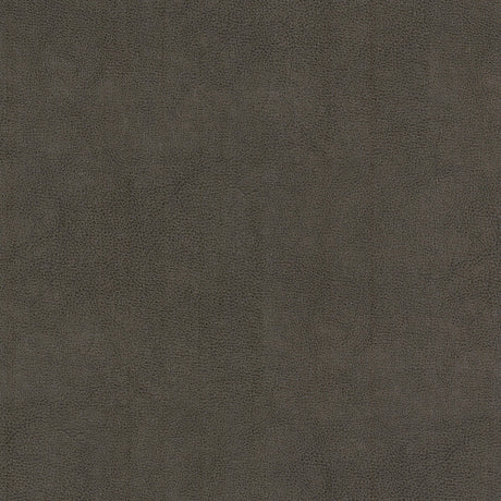 STOUT NARC-1 NARCISSUS 1 SHADOW Fabric - Eades Wallpaper & Fabric