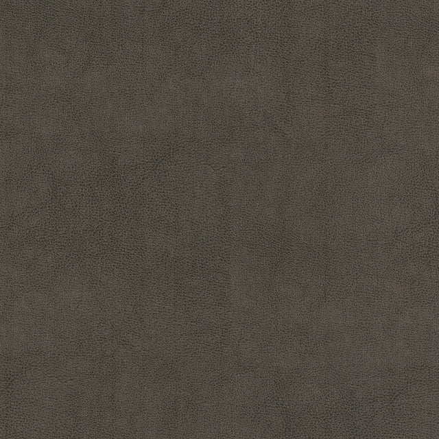 STOUT NARC-1 NARCISSUS 1 SHADOW Fabric - Eades Wallpaper & Fabric
