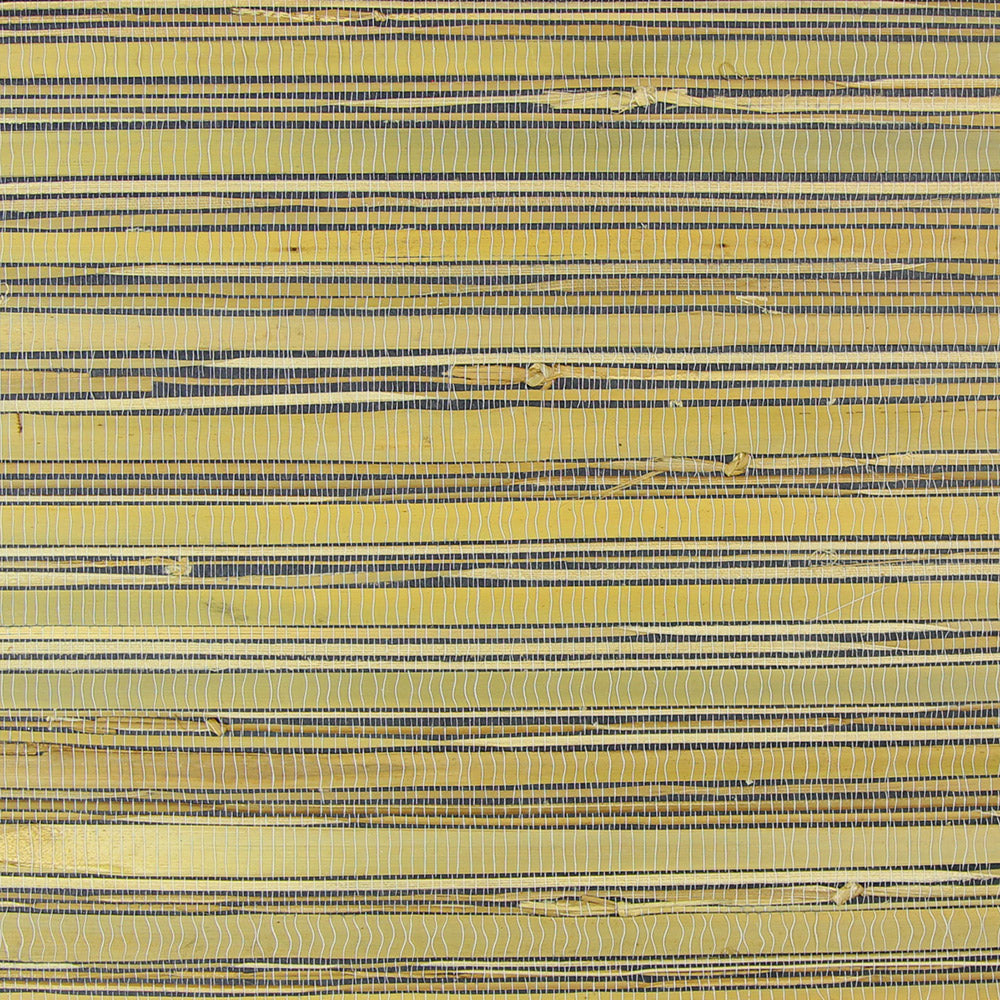 Astek NB673 Beige Stripe Grasscloth