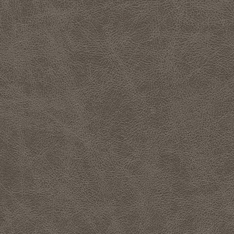 Eade’s # 1025 GRAPHITE