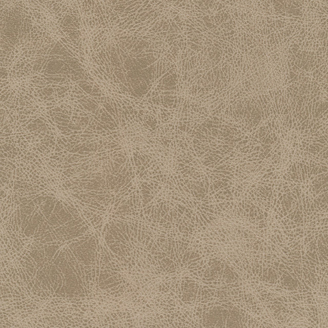 Eade’s # 1027 KIT FOX