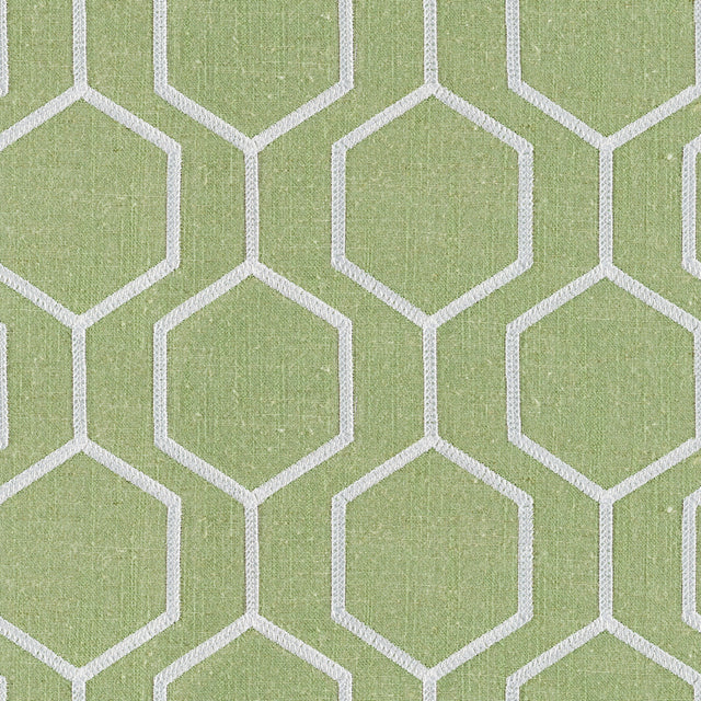 Eade’s NEWTON ELM ELM