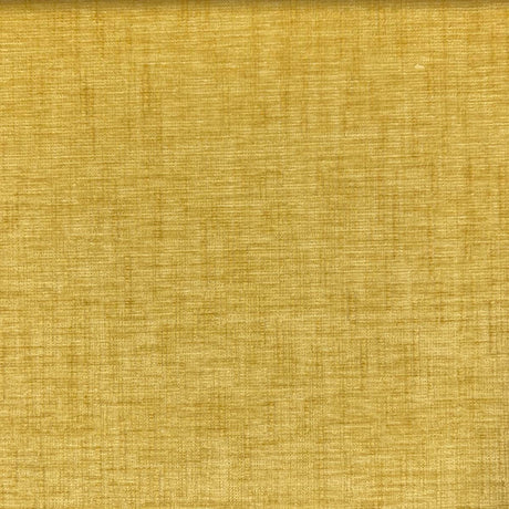 Eade’s NILLY GOLDEN GOLDEN