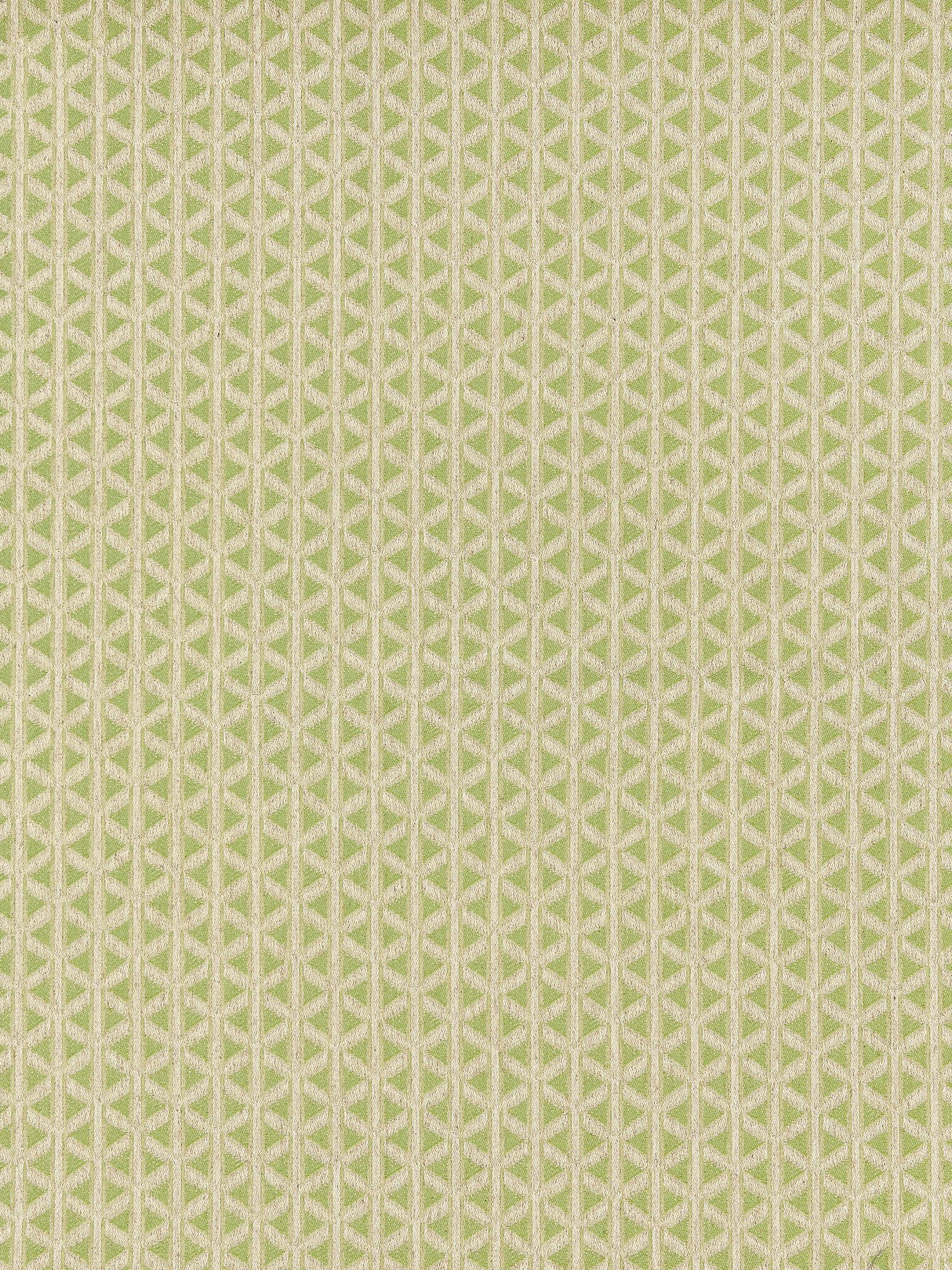 Scalamandre NK 0003CROS SPRING GREEN CROSS CHANNEL Fabric