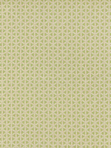 Scalamandre NK 0003CROS SPRING GREEN CROSS CHANNEL Fabric