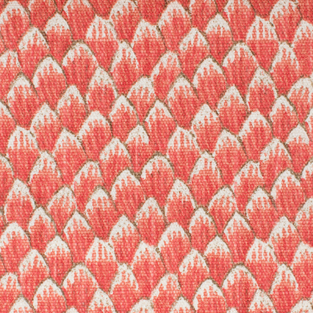 STOUT NOBI-1 NOBILITY 1 MELON Fabric - Eades Wallpaper & Fabric