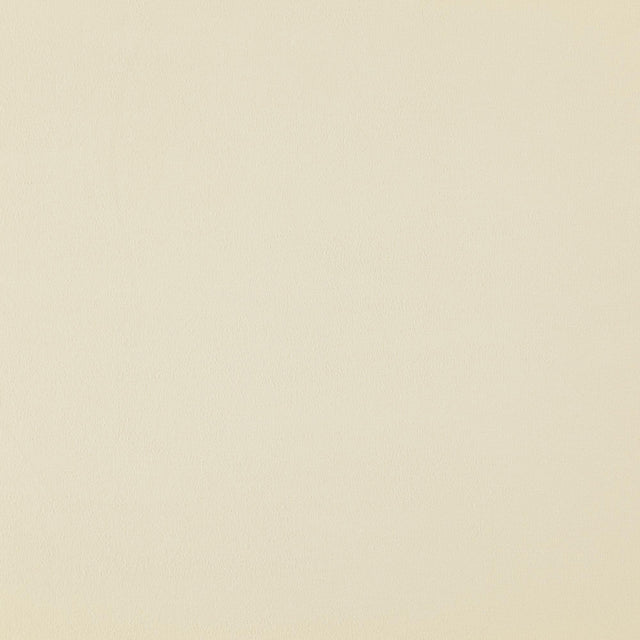 Everyday Northeast 92-J7881 NORTH Fabric