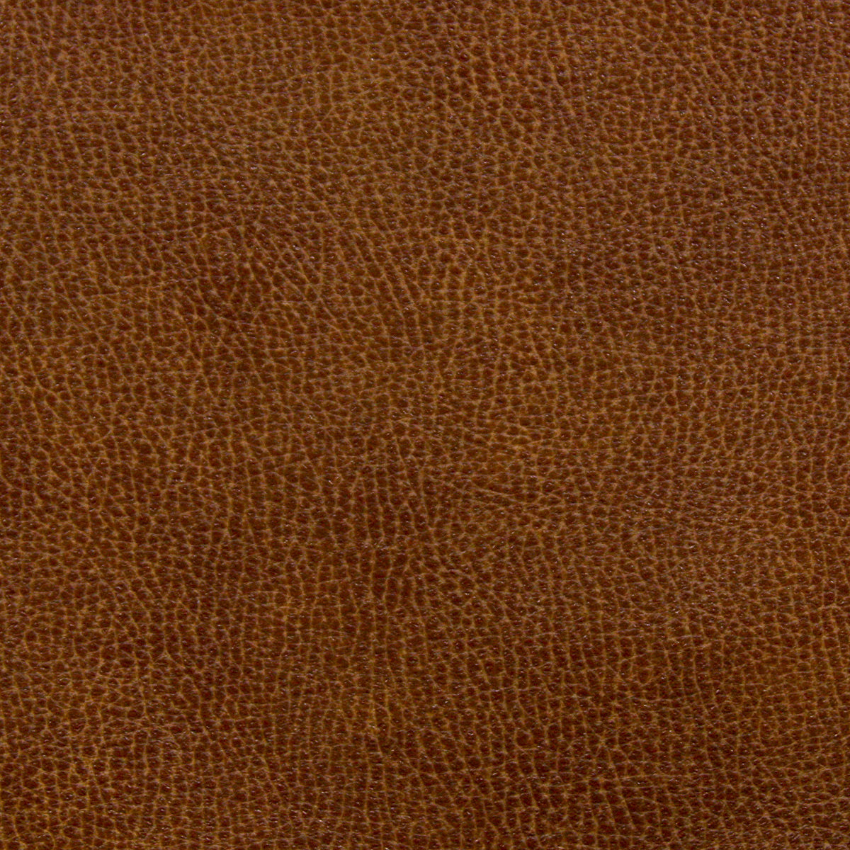 STOUT NOSE-5 NOSEDA 5 SADDLE Fabric - Eades Wallpaper & Fabric