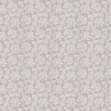 JF Fabrics 95-J8011 NOTATION Fabric