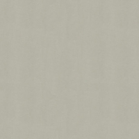 KRAVET DESIGN NOVASUEDE.1110.0 KRAVET DESIGN NOVASUEDE-1110 Fabric - Eade's Wallpaper