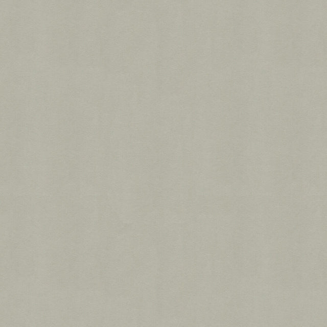 KRAVET DESIGN NOVASUEDE.1110.0 KRAVET DESIGN NOVASUEDE-1110 Fabric - Eade's Wallpaper