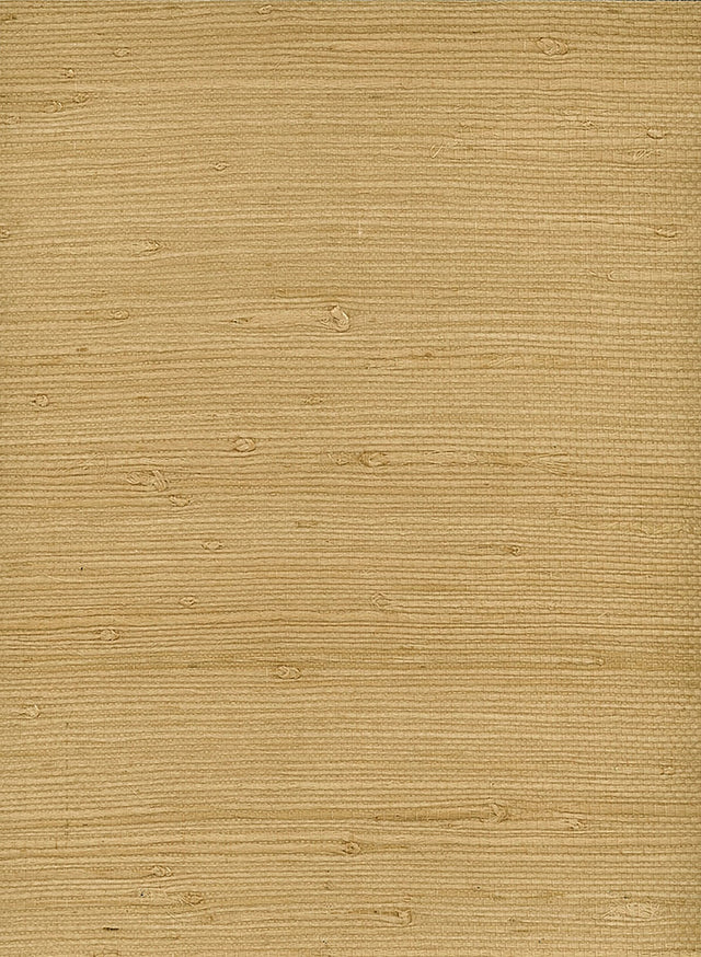 Seabrook Designs NR140X Wallpaper - Eade's Wallpaper & Fabric