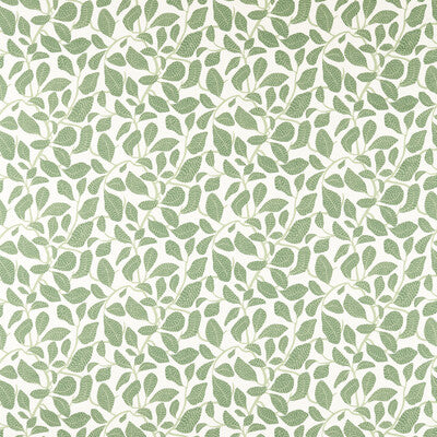 SCION SWEET BAY NSCD121314.SCN.0 in FOREST Wallpaper - SCION