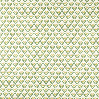 SCION TULIP TRELLIS NSCD121330.SCN.0 in HONEY Wallpaper - SC