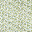 SCION DANCING DAISIES NSCD121333.SCN.0 in CORNFLOWER Wallpap