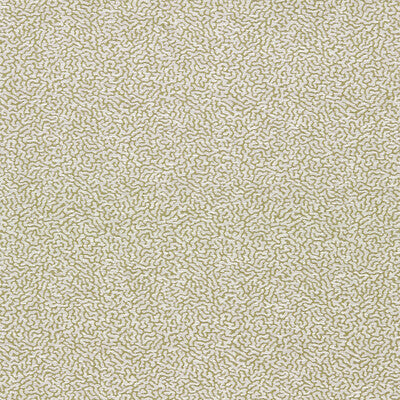 SCION DUCKWEED NSCD134626.SCN.0 in LAWN Fabric - SCION OAKHA