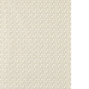 SCION RAFT STRIPE WP NSCW113244.SCN.0 in MUSHROOM Wallpaper 