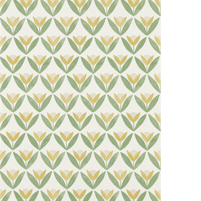 SCION TULIP TRELLIS WP NSCW113256.SCN.0 in HONEY Wallpaper -