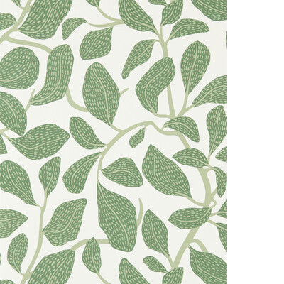 SCION SWEET BAY WP NSCW113268.SCN.0 in FOREST Wallpaper - SC