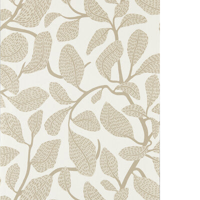 SCION SWEET BAY WP NSCW113270.SCN.0 in STONE Wallpaper - SCI