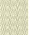 SCION SAPLING WP NSCW113277.SCN.0 in SAGE Wallpaper - SCION 