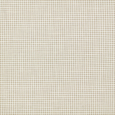 SCION RAGDALE NSWE134640.SCN.0 in PEBBLE Fabric - SCION OAKH